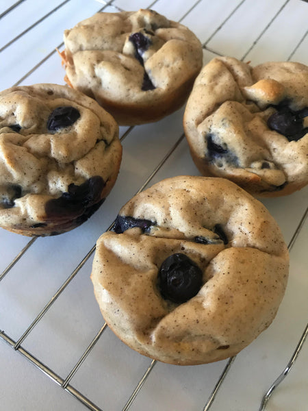 Fit Whip Blueberry Protein Muffins (WW Friendly)